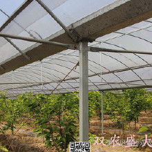 溫室大棚及安裝全解析 價(jià)格、批發(fā)渠道與廠家服務(wù)指南